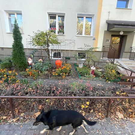 Cosy Studio In Quiet Location Pulawy Exterior photo